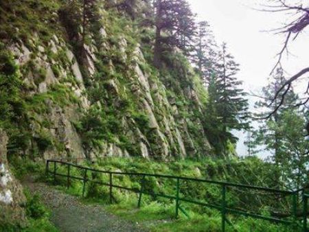 Group Tour for 10 people